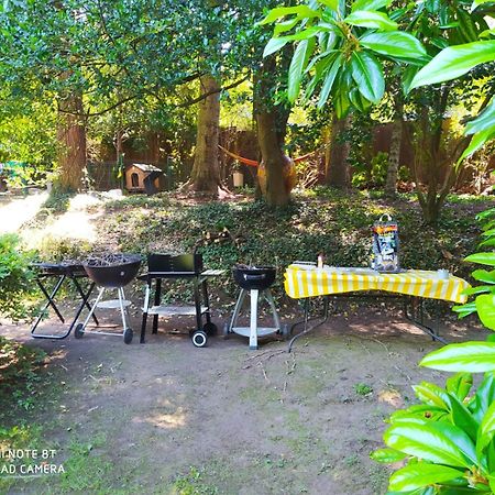 "La Selvetta" Bed And Breakfast Buguggiate Dış mekan fotoğraf