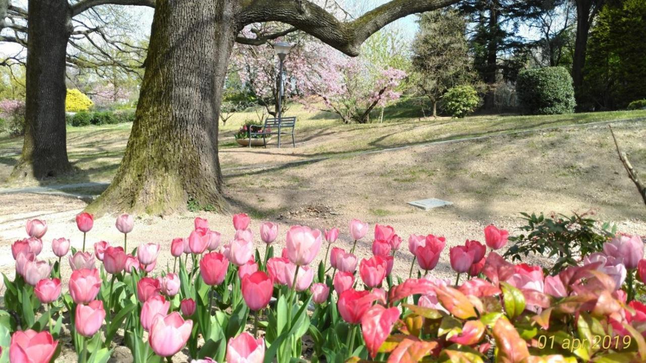 "La Selvetta" Bed And Breakfast Buguggiate Dış mekan fotoğraf