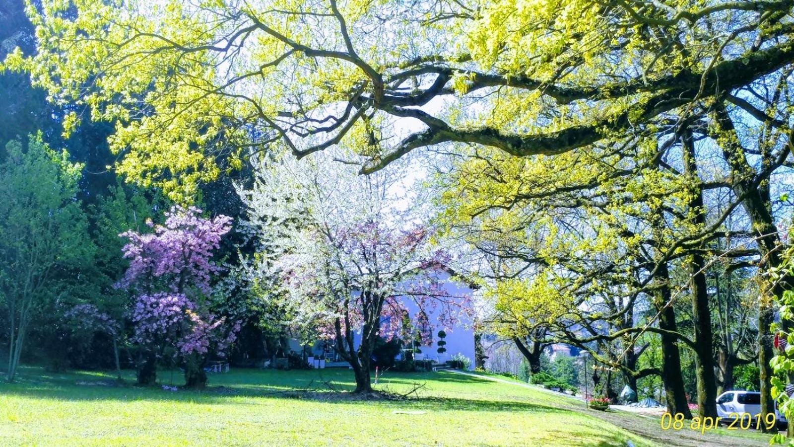 "La Selvetta" Bed And Breakfast Buguggiate Dış mekan fotoğraf