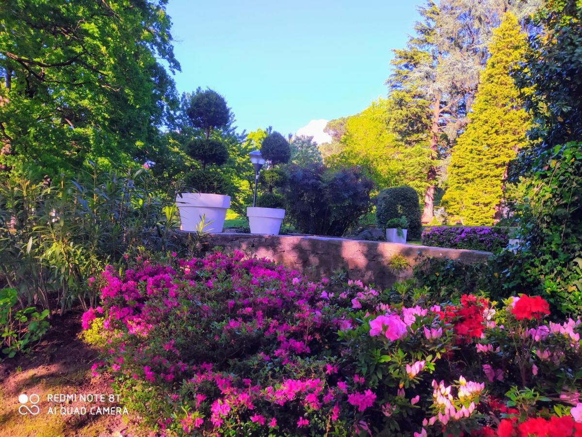 "La Selvetta" Bed And Breakfast Buguggiate Dış mekan fotoğraf